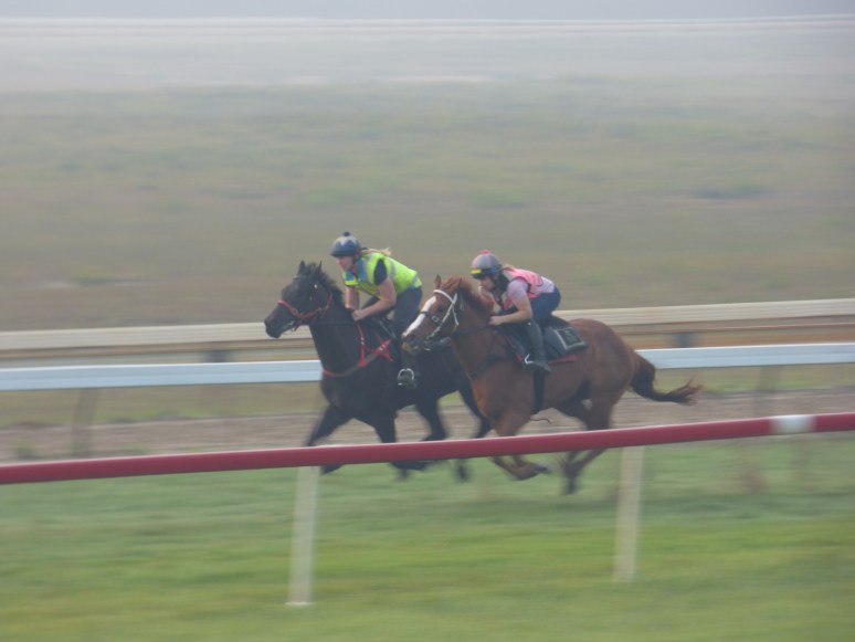 Bring Me Some &amp; No Emotion gallop